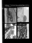 Farm Edition; Farmer's Day Parade; Parade on Evans Looking South(4 Negatives) 1950s, undated [Sleeve 57, Folder a, Box 21]